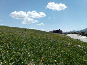 View of yard featuring a view of countryside, a mountain view, and agricultural plots