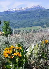 View of mountain backdrop