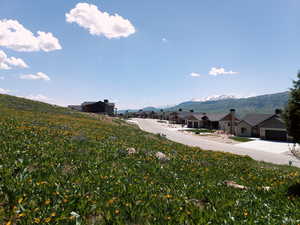 View of yard with a mountain view and a residential view