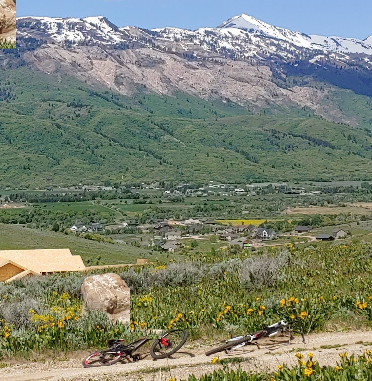 View