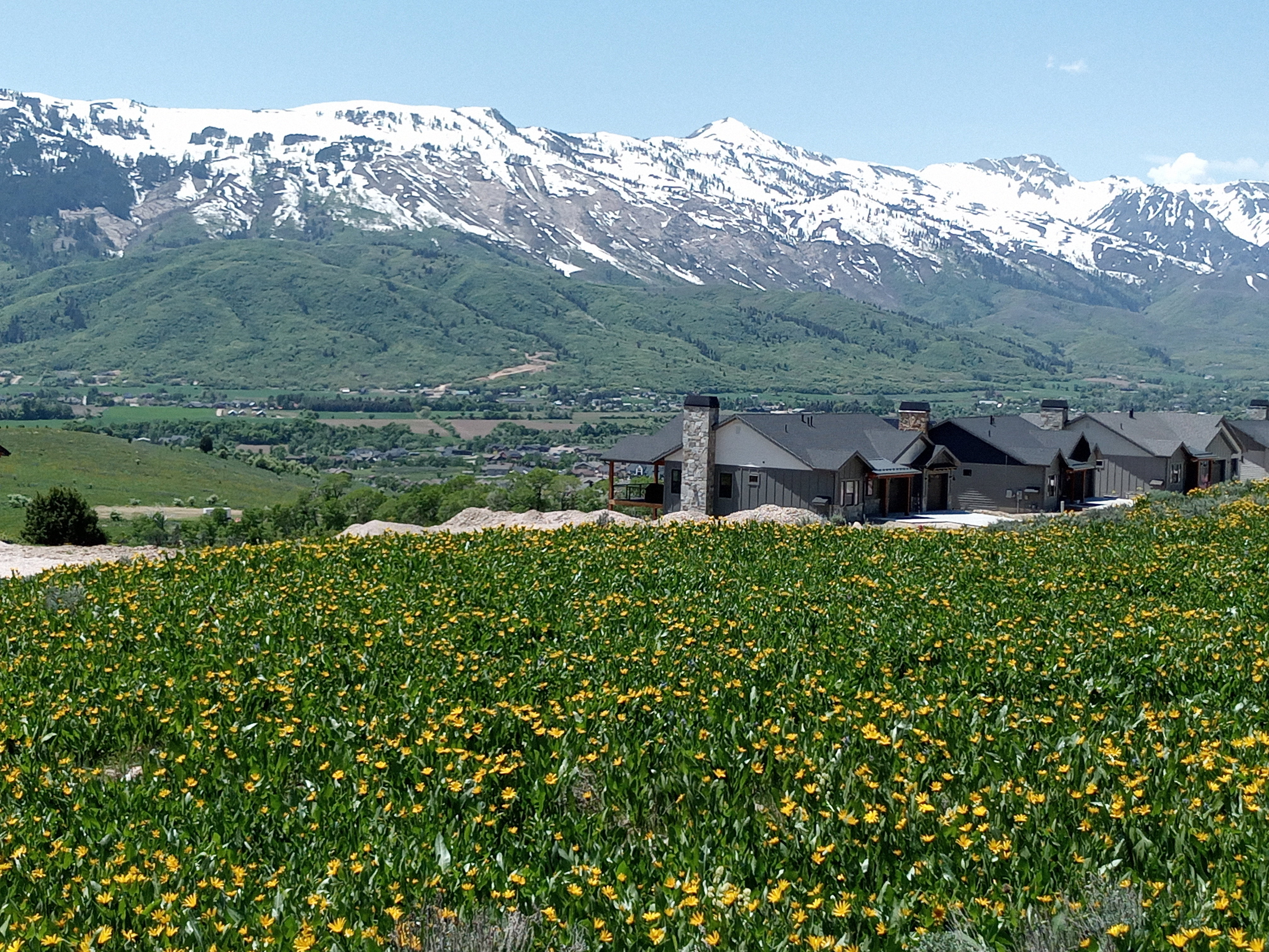 View of mountain background