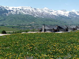 View of mountain background