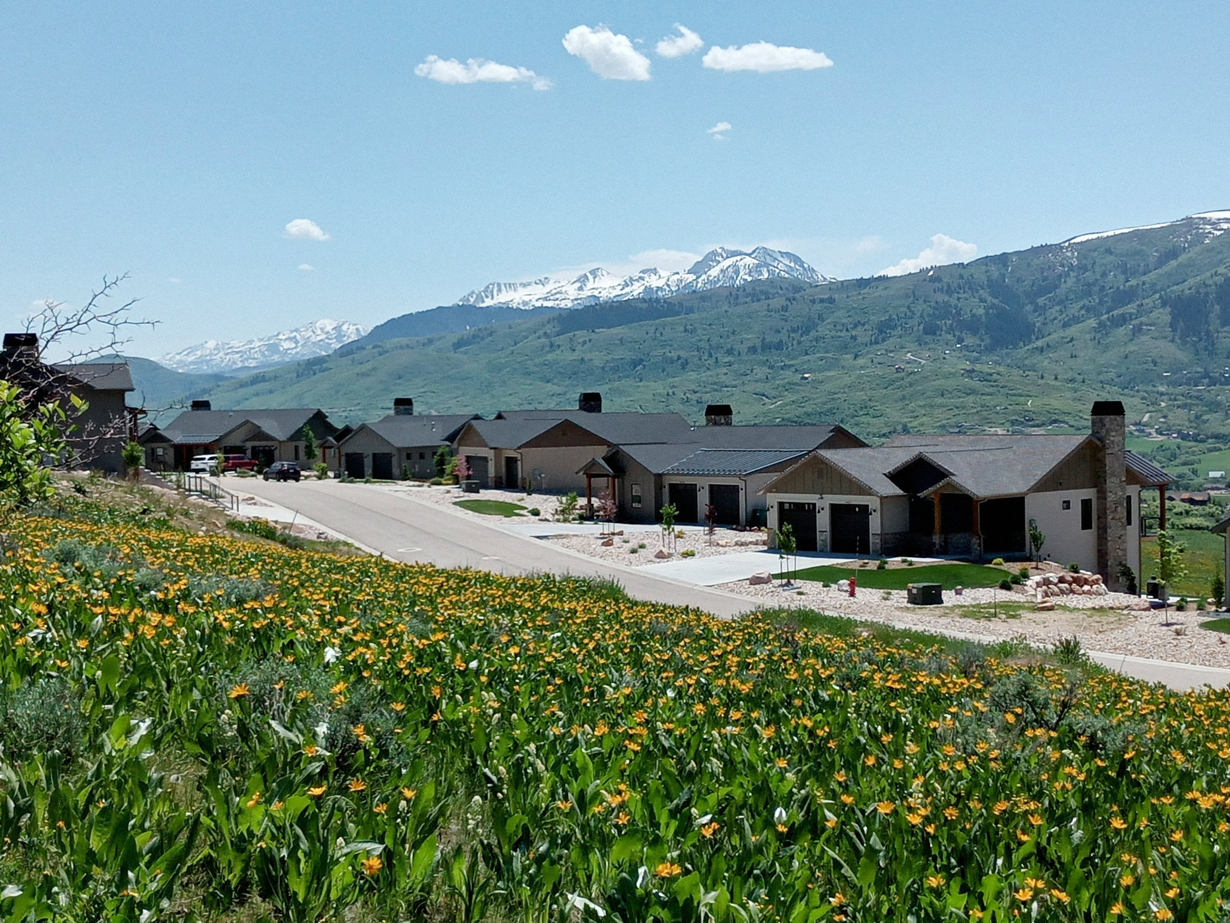 View from lot of mountain backdrop
