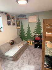 Carpeted bedroom with a textured ceiling