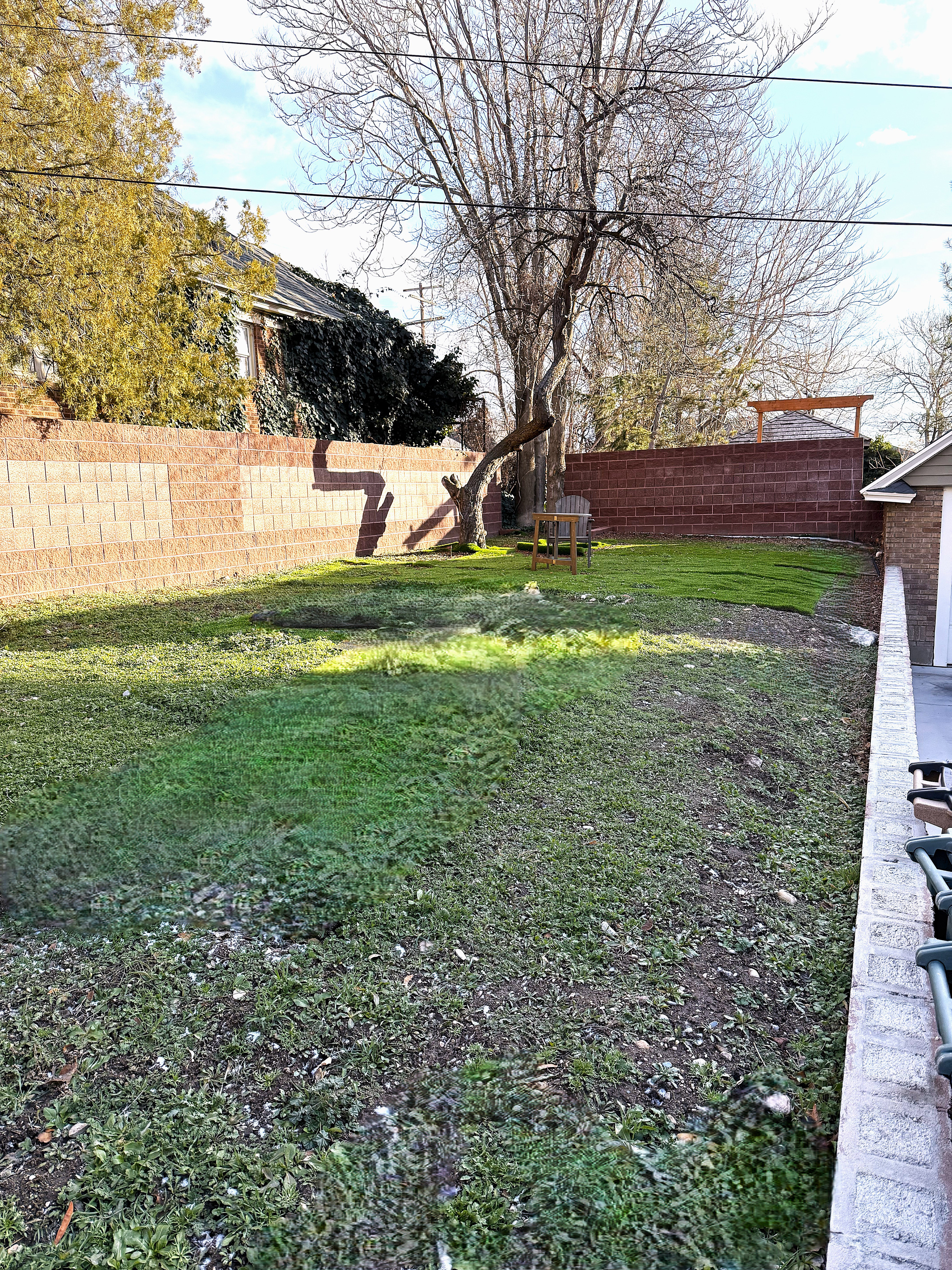 View of fenced backyard