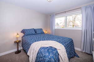 Bedroom featuring carpet flooring and baseboards