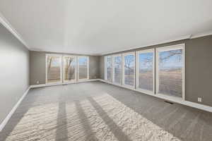 Living room with new carpet and plenty of natural light