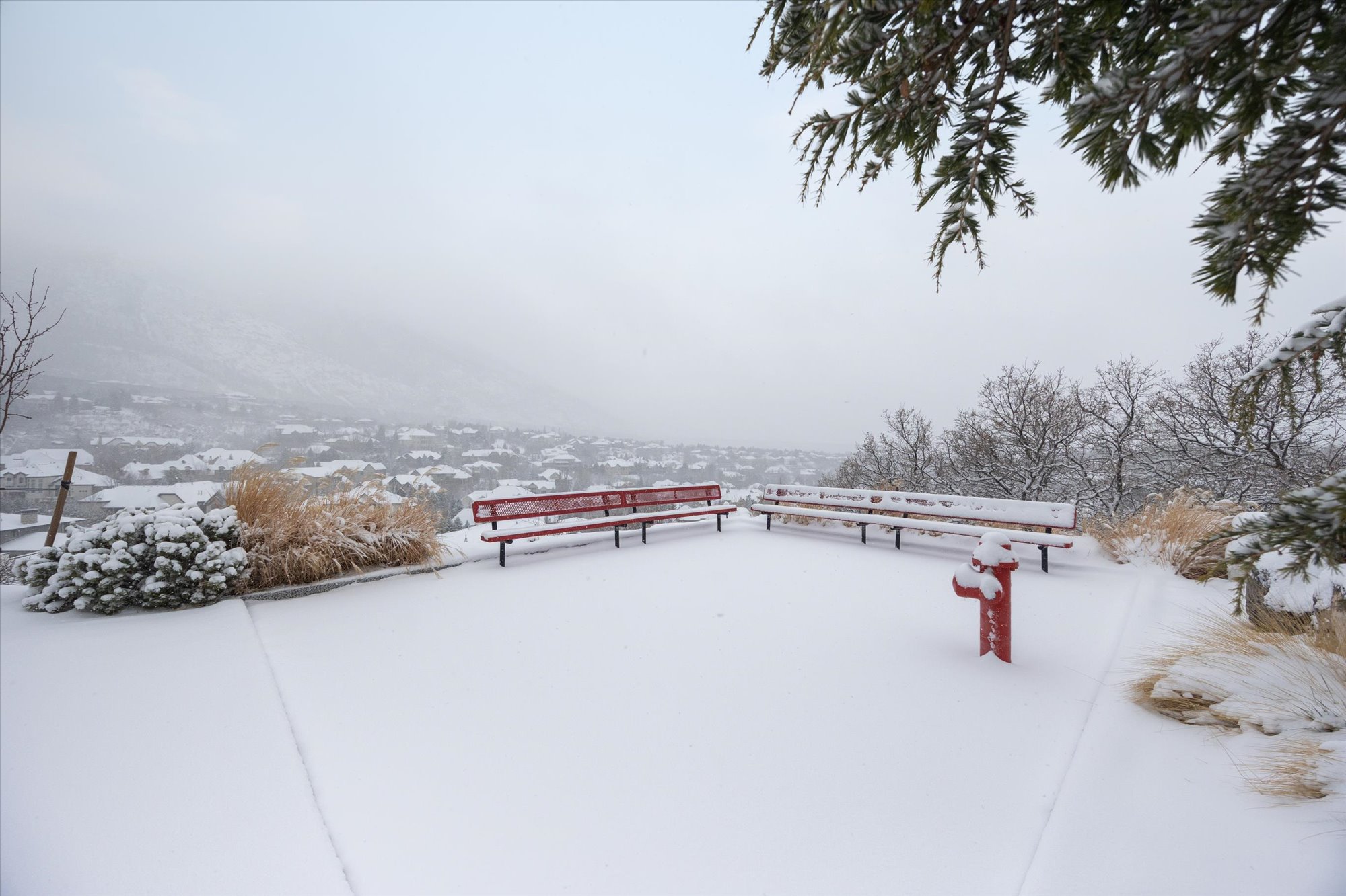View of snowy yard