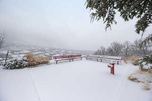 View of snowy yard