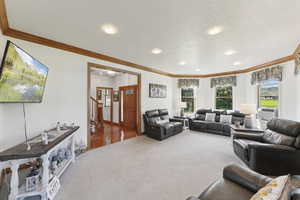 Carpeted living room featuring ornamental molding, a textured ceiling, and cooling unit