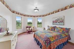 Bedroom featuring light colored carpet and a textured ceiling