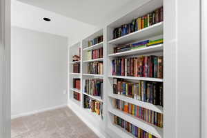 Living area featuring light carpet and built in features