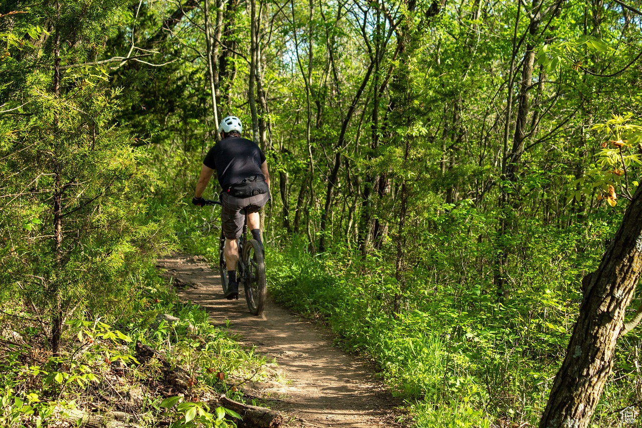 Endless biking and hiking trails