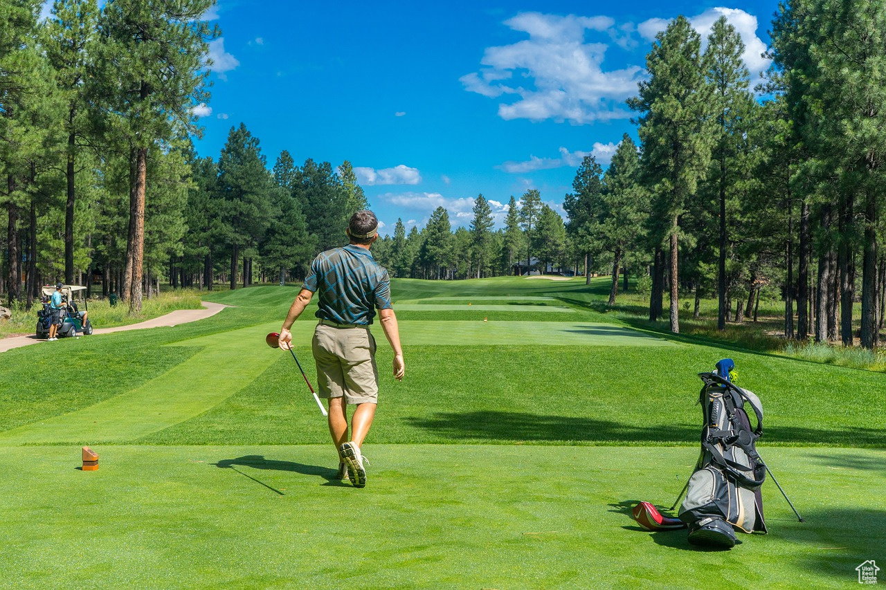 Multiple golf courses with in 15 mins