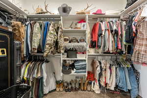 Walk in closet featuring carpet floors