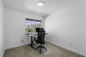 Office featuring light colored carpet and baseboards