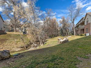 View of grassy yard creekside