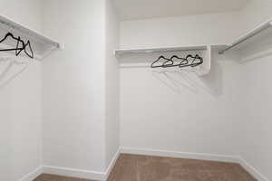 Primary Walk in closet with carpet flooring