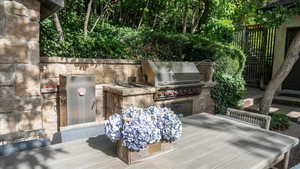 View of patio / terrace with an outdoor kitchen / dining area and a wooden deck