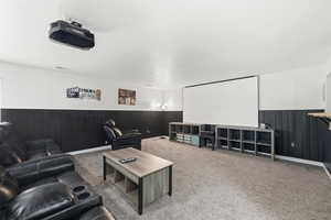 Cinema room with a wainscoted wall, wooden walls, and carpet floors