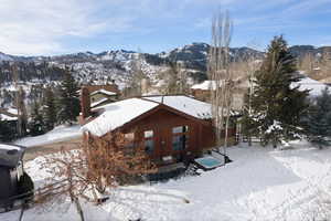 Back of house featuring a chimney and a mountain view