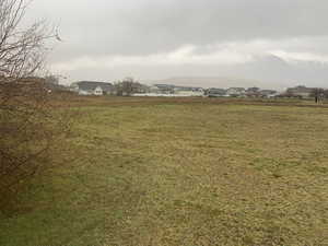 View of grassy yard featuring a residential view