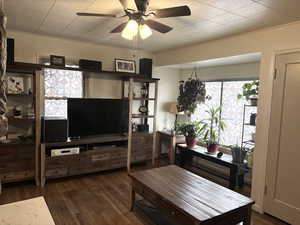 Living room featuring a ceiling fan and dark wood-type flooring
