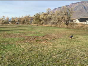 View of grassy yard with a view of countryside and a mountain view