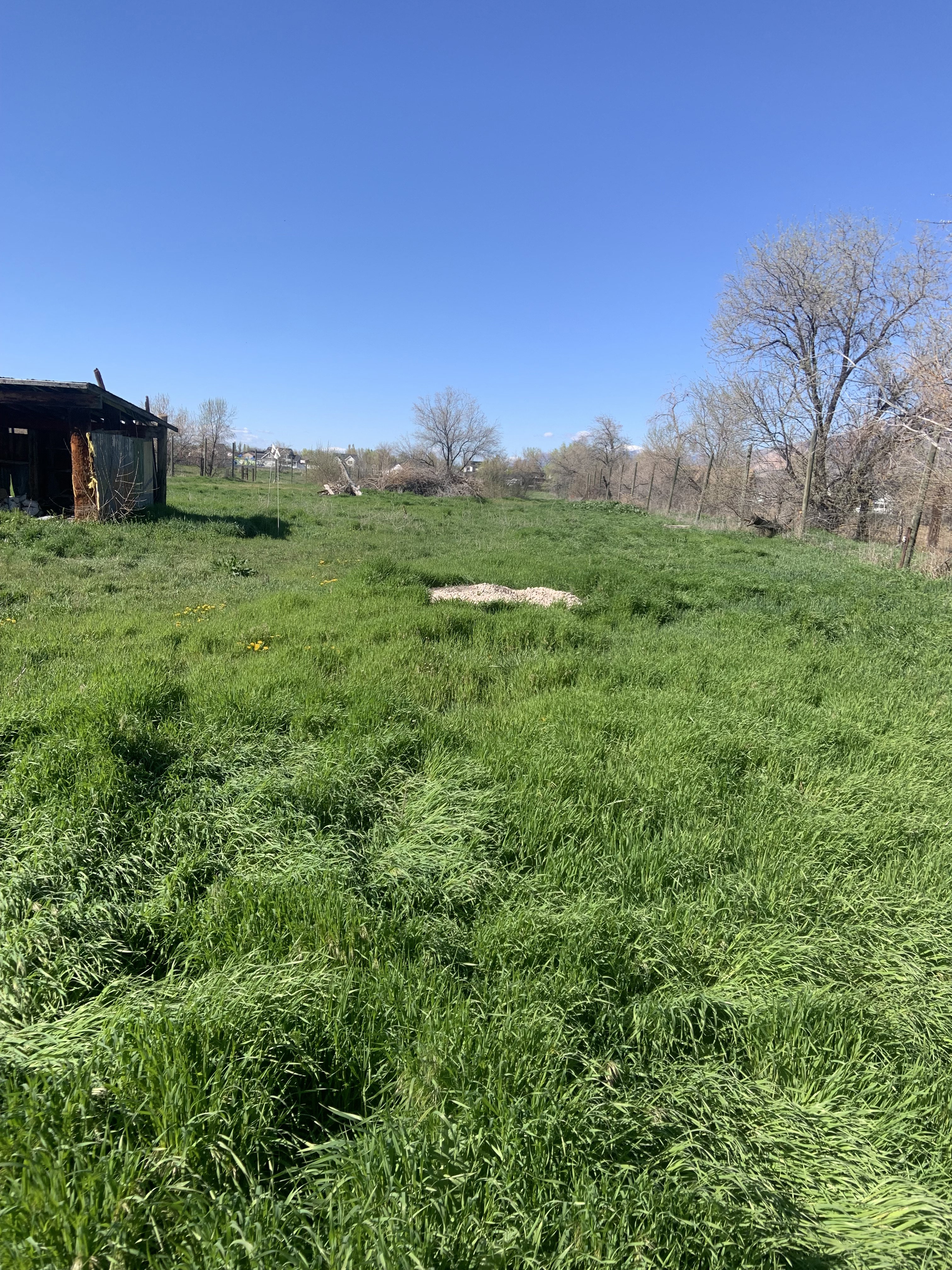 View of yard with a view of countryside