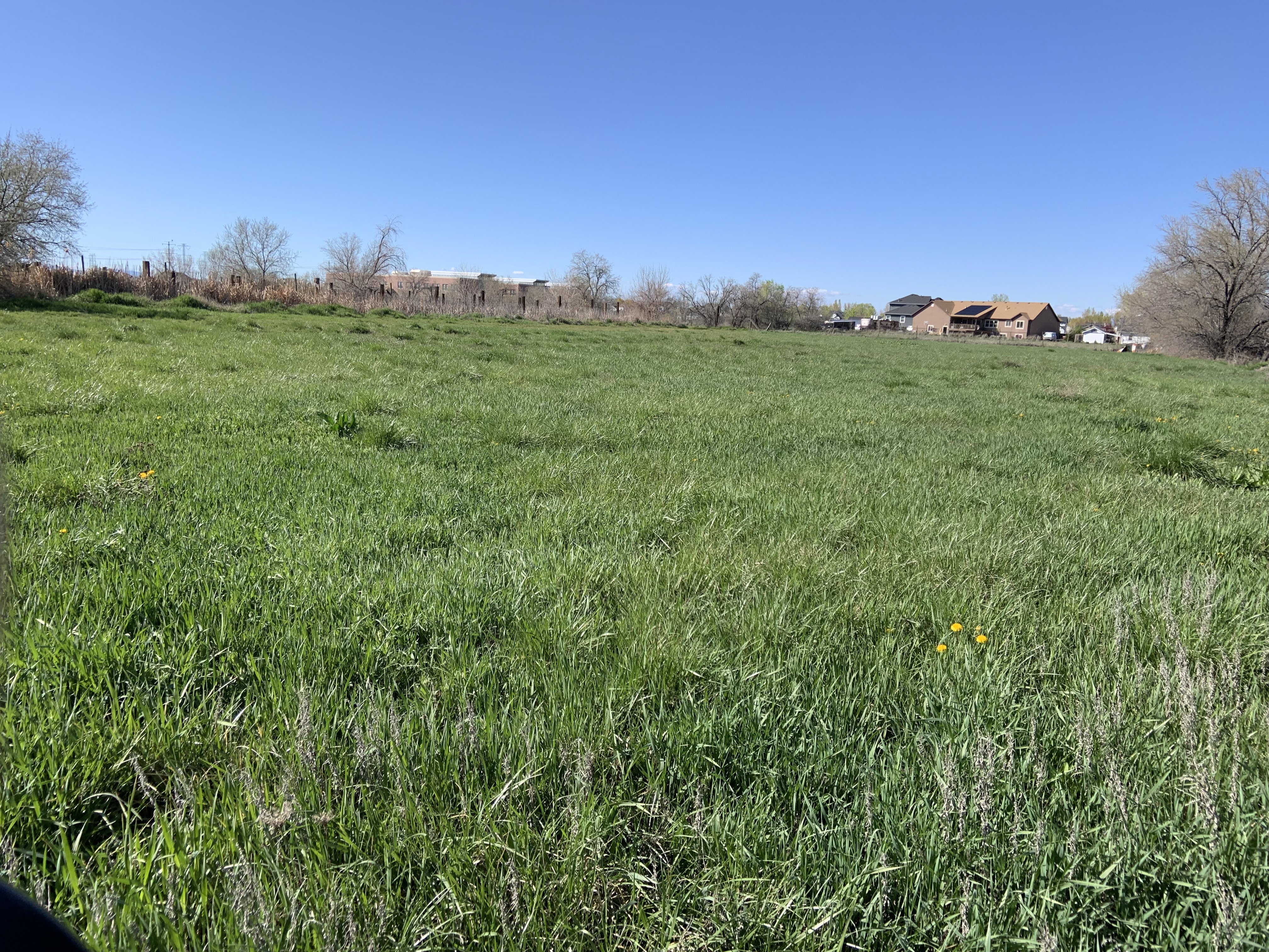 View of yard with a view of countryside