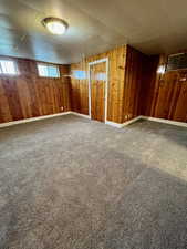Below grade area featuring carpet flooring and wood walls
