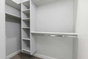 Primary walk in closet with light carpet