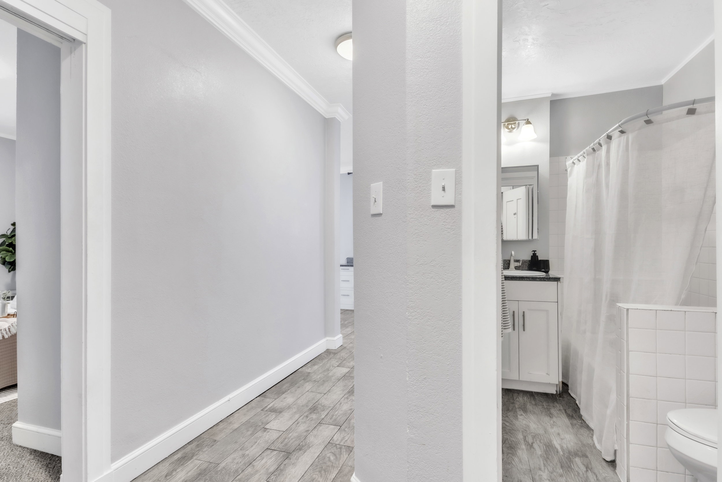 Full bathroom featuring vanity, light wood-type flooring, crown molding, and a shower with curtain
