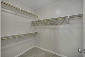 Walk in closet featuring light colored carpet
