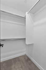 Walk in closet with dark colored carpet