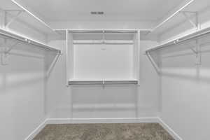 Walk in closet featuring carpet