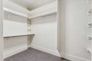 Walk in closet with carpet floors