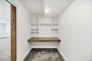 Walk in closet with dark colored carpet