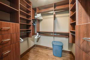 Walk in closet featuring light wood-style floors