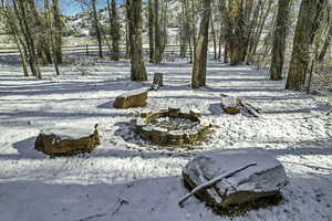 View of snowy yard