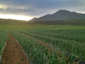 Photo from earlier year