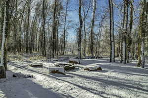 View of yard covered in snow