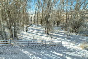 View of snowy yard