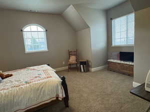 Bedroom featuring vaulted ceiling, light carpet, and multiple windows