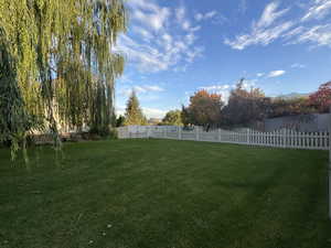 View of fenced backyard
