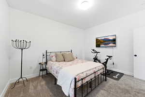 Bedroom with baseboards and light carpet