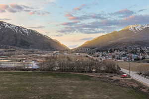 Trees backing the property -Canyon