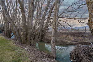 Water view of stream