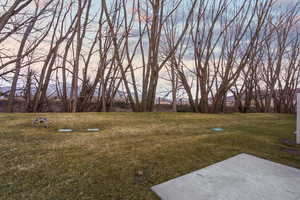 Tree lined back yard with stream.
