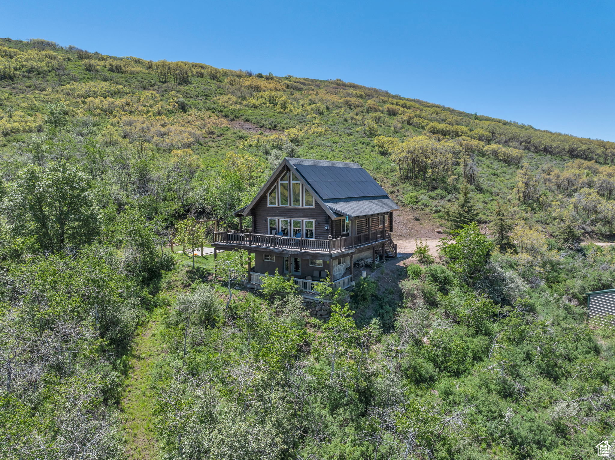 View of subject property featuring a forest